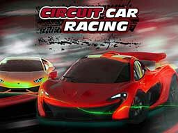 CIRCUIT CAR RACING