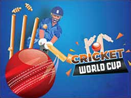 Cricket World Cup Game