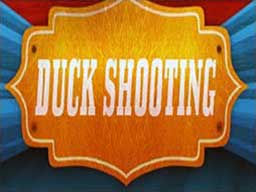 Play DuckShooting Online on Play26.com