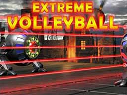 Play Extreme Volleyball Online on Play26.com