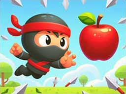 Play Flip Ninja Online on Play26.com