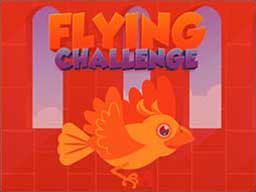 Flying Challenge