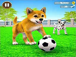 Play My Virtual Dog Care Online on Play26.com