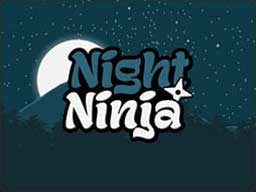 Play Night Ninja Online on Play26.com