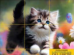 Puzzle Sliding   Kittens