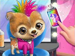 Play Rock Star Animal Hair Salon Online on Play26.com