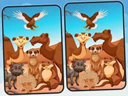 Spot 5 Differences Deserts