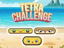 Play Tetra Challenge Online on Play26.com