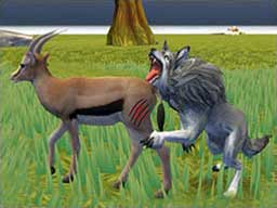 Play Wolf Life Simulator Online on Play26.com