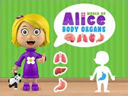 Play World of Alice   Body Organs Online on Play26.com